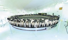 【高质量成长企业