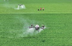 旗号网：认为动力